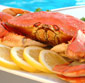 Picture of Fresh Cooked Whole Dungeness Crab