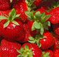 Picture of Strawberries