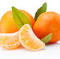 Picture of Halos Tangerines