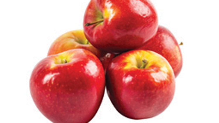 Picture of Washington Premium Sugar Bee Apples