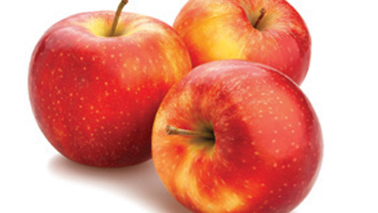 Picture of Washington Large Koru Apples