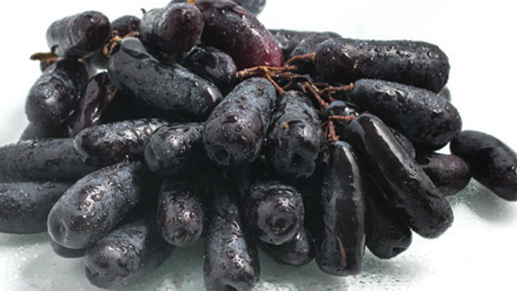 Picture of Sweet Sapphire Black Seedless Grapes