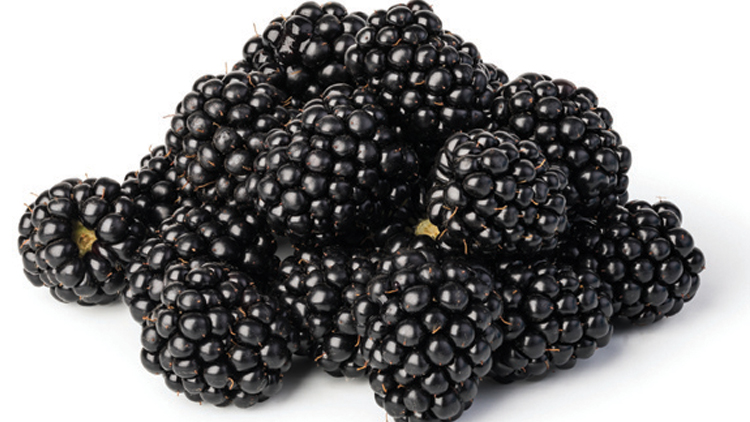 Picture of Strawberries, Blackberries or Raspberries