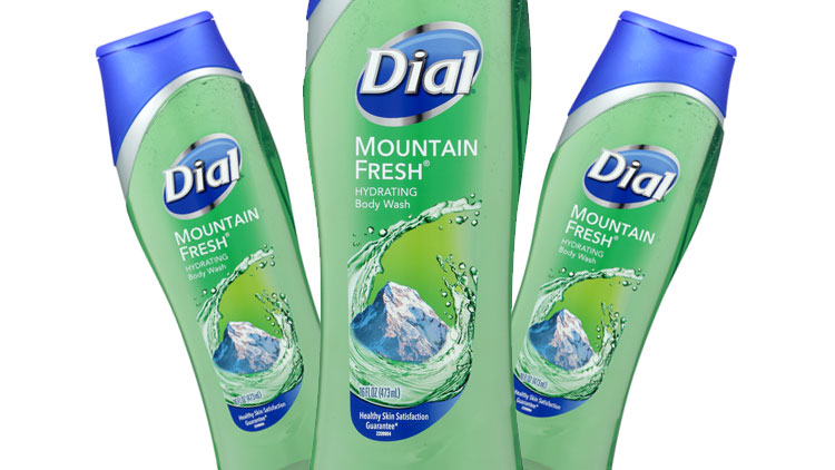 dial mountain fresh body wash dial mountain fresh body wash