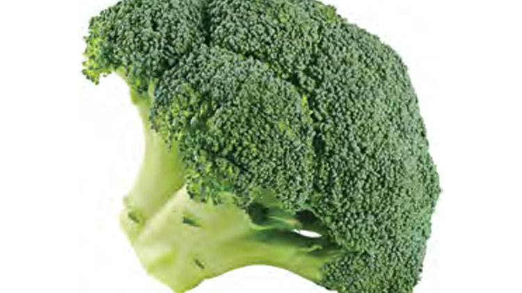 Picture of Broccoli Crowns