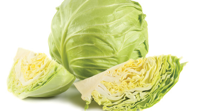 Picture of Green Cabbage