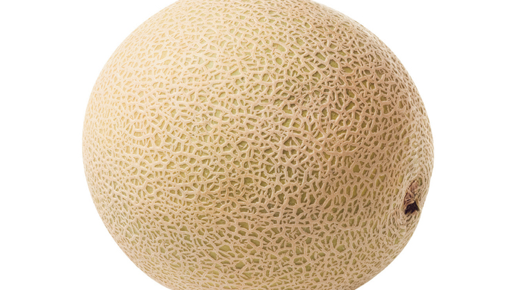 Picture of Jumbo Cantaloupe