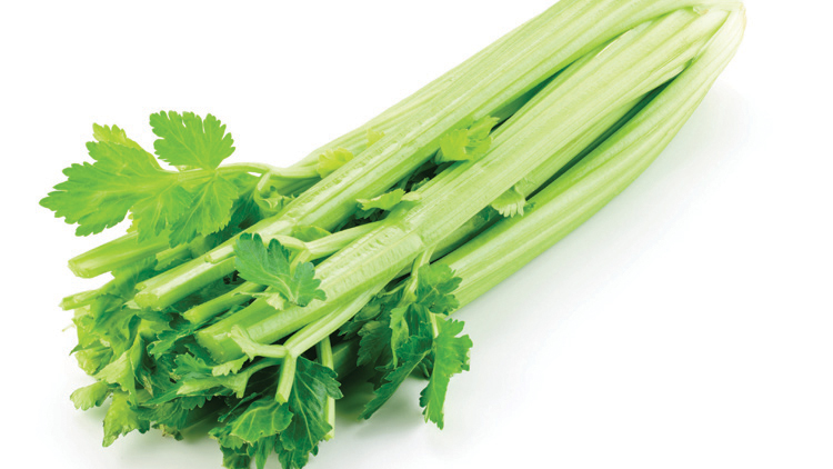 Picture of Celery