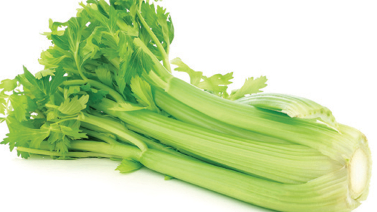 Picture of Large Organic Celery