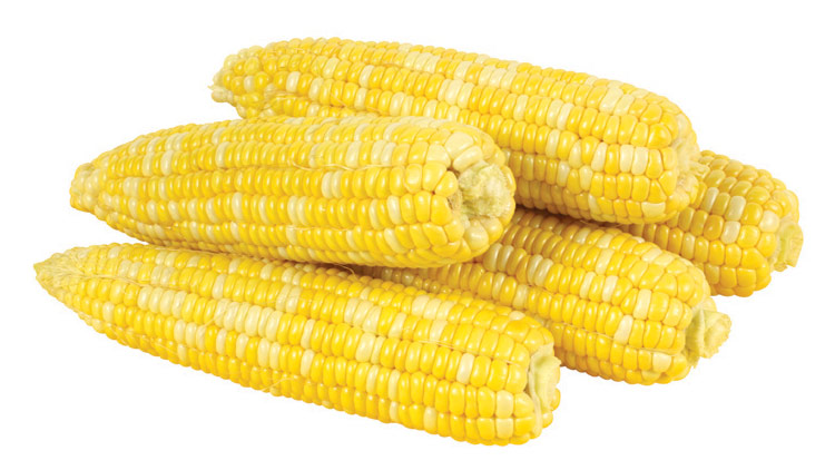 Picture of Fresh Cuts Bi-Color Sweet Corn