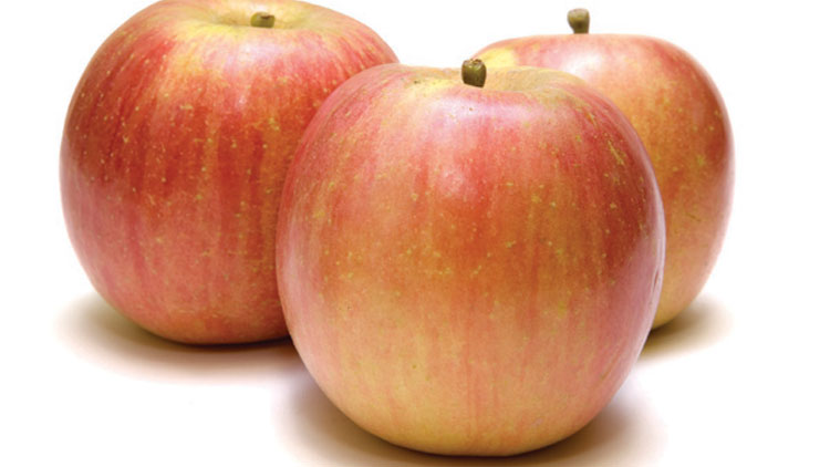 Picture of Apeel Organic Fuji Apples