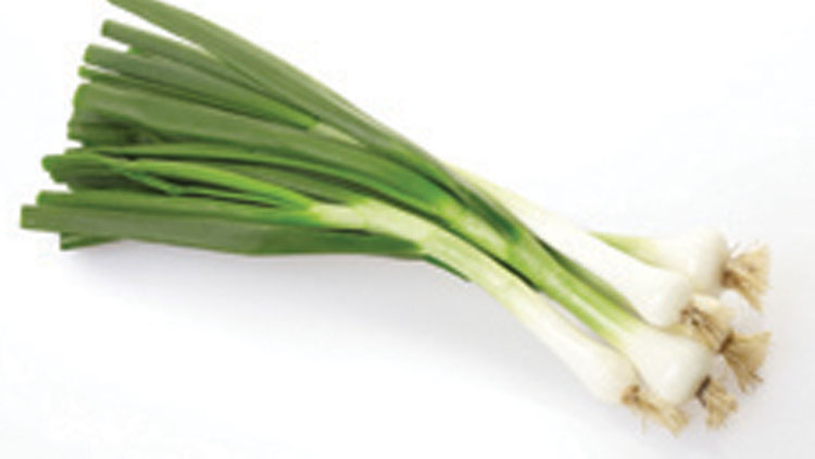 Picture of Green Onions