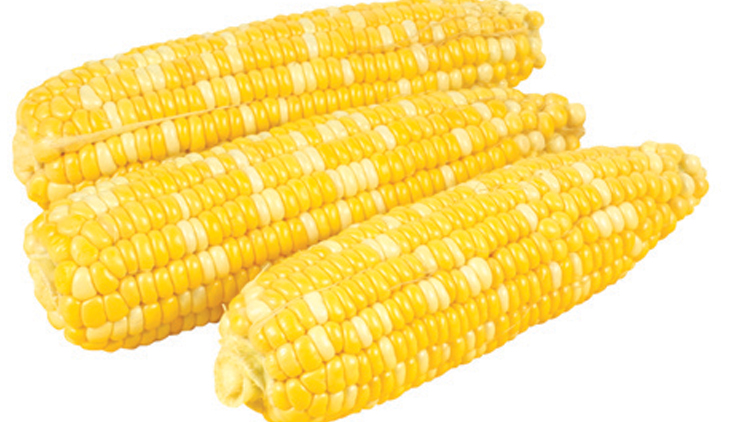 Picture of Fresh Cuts Honey & Cream Sweet Corn