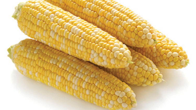 Picture of Fresh Cuts Honey & Cream Sweet Corn