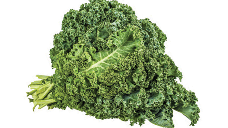 Picture of Kale