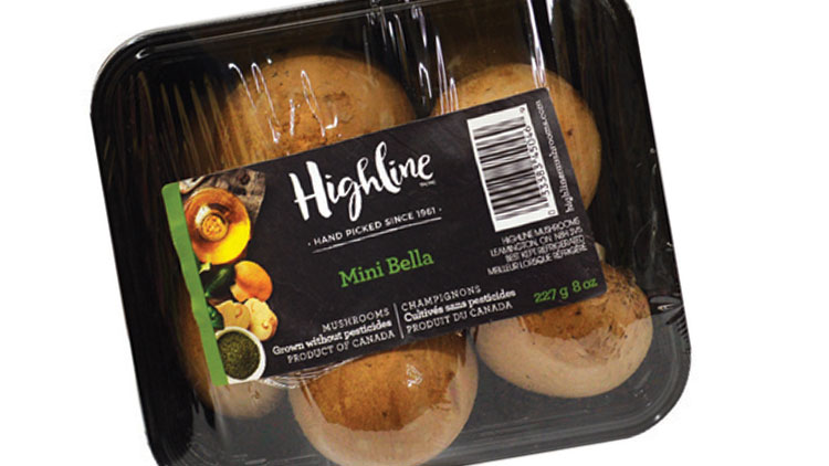 Picture of Highline Whole Mini Bella Mushrooms