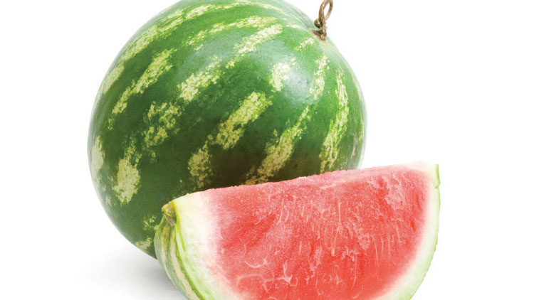 Picture of Mini Red Seedless Watermelon