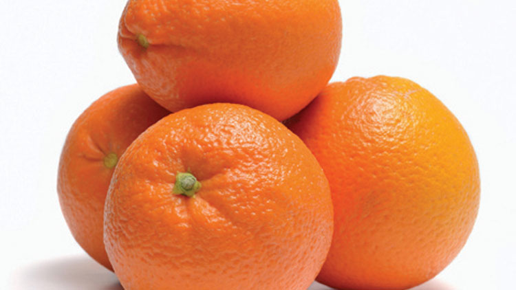 Picture of Organic Navel Oranges