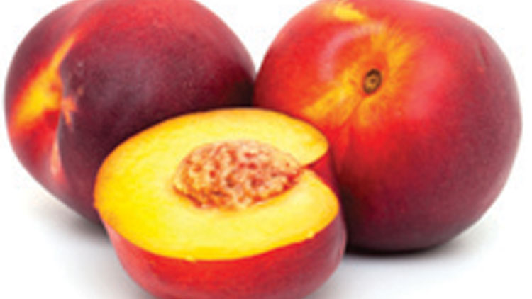 Picture of Nectarines