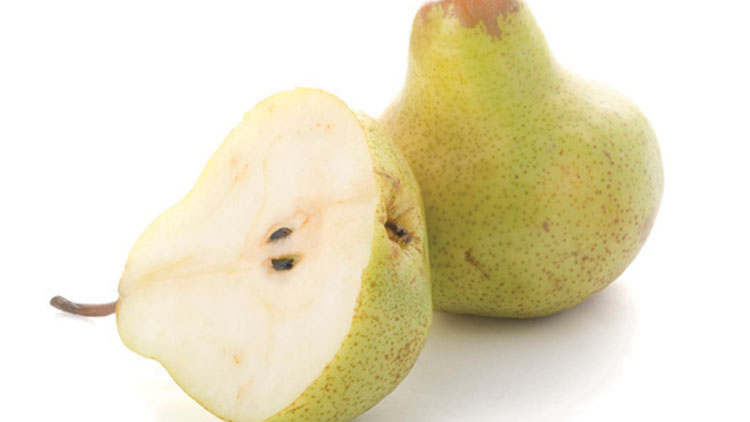 Picture of Washington Anjou Pears