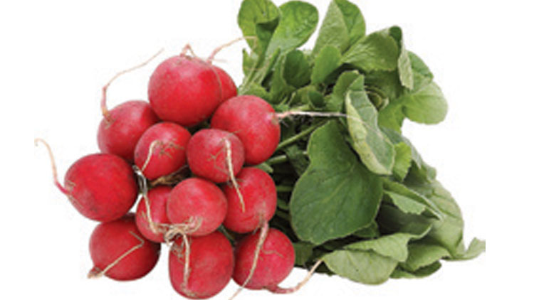 Picture of Green Top Red Radishes