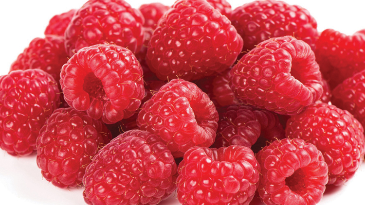Picture of Raspberries or Blueberries