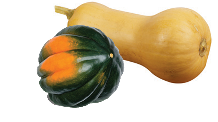 Picture of Acorn, Spaghetti, Buttercup or Butternut Squash
