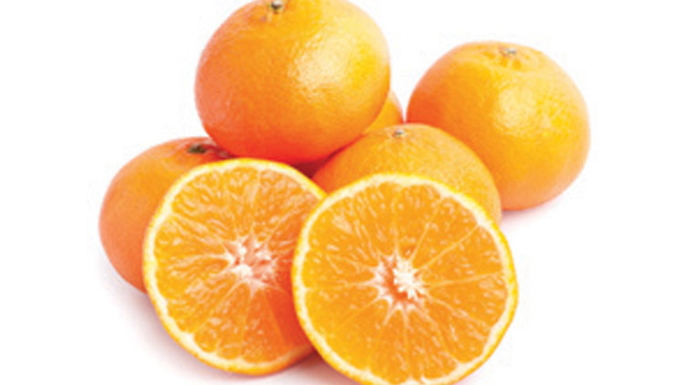 Picture of Sunkist Ojai Pixie Tangerines