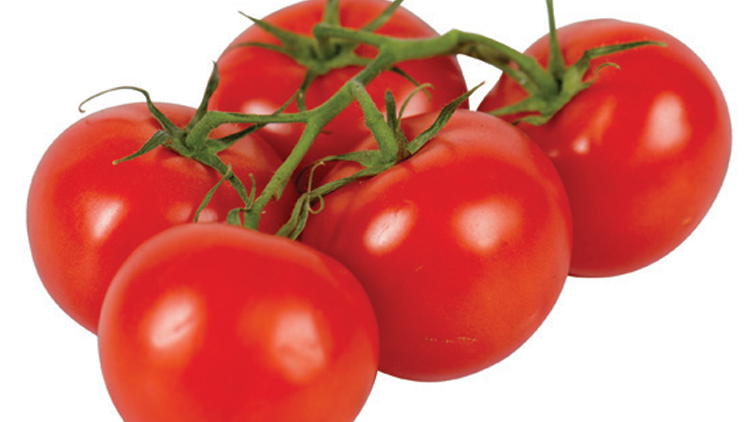 Picture of On Vine Tomatoes