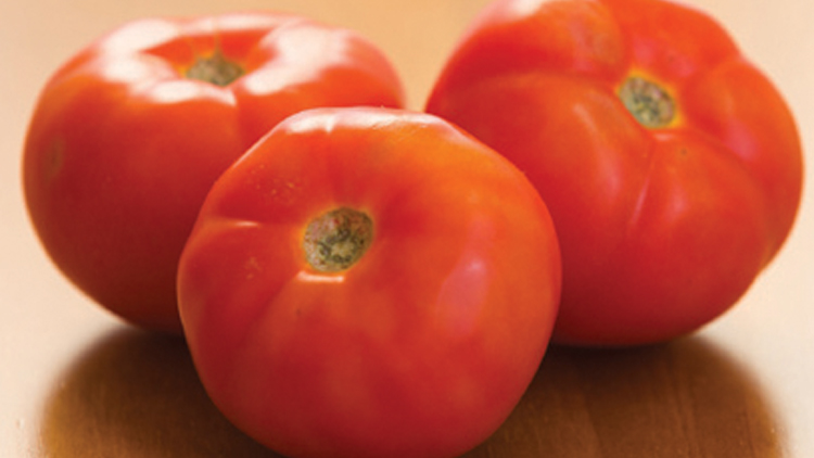 Picture of Slicing Tomatoes