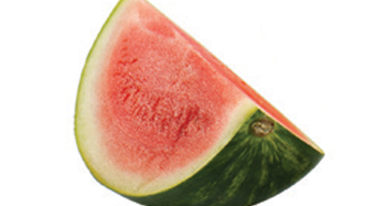 Picture of Mini Seedless Watermelon