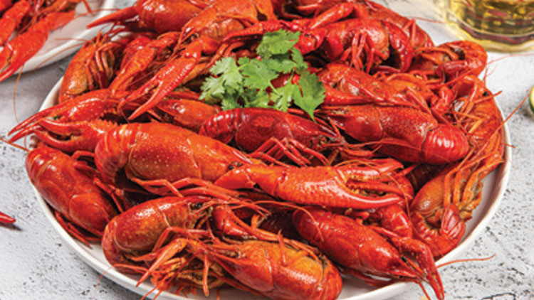 Picture of Alfocan Whole Cooked Crawfish