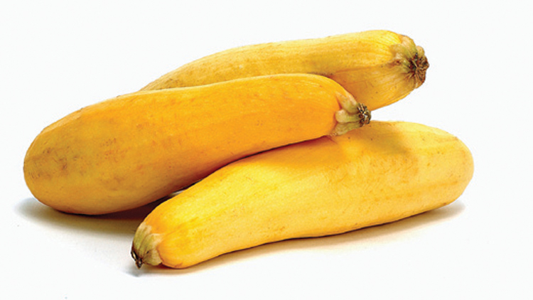 Picture of Zucchini or Yellow Squash