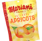 Picture of Mariani Family Dried Mango or Apricots