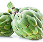 Picture of Extra Large Artichokes