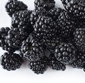 Picture of Fresh Picked Blackberries