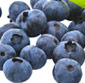 Picture of Organic Blueberries