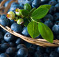 Picture of Ocean Spray Fresh Blueberries
