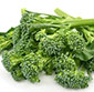 Picture of Broccolini 