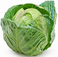 Picture of Garden Fresh Green Cabbage