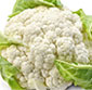 Picture of Field Fresh Cauliflower
