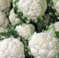 Picture of Fresh Cauliflower