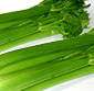 Picture of Fresh Celery