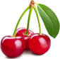 Picture of Tart Cherries