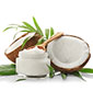 Picture of Wild Harvest Organic Refined Coconut Oil