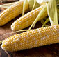 Picture of Fresh Bi-Color Sweet Corn