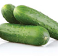 Picture of Super Select Cucumbers