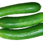 Picture of Crisp Fresh Cucumbers