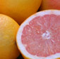 Picture of Fresh Grapefruit 