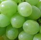 Picture of Jumbo Green Seedless Grapes